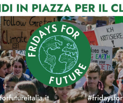 fridays-for-future-italia-foto-di-una-manifestazione