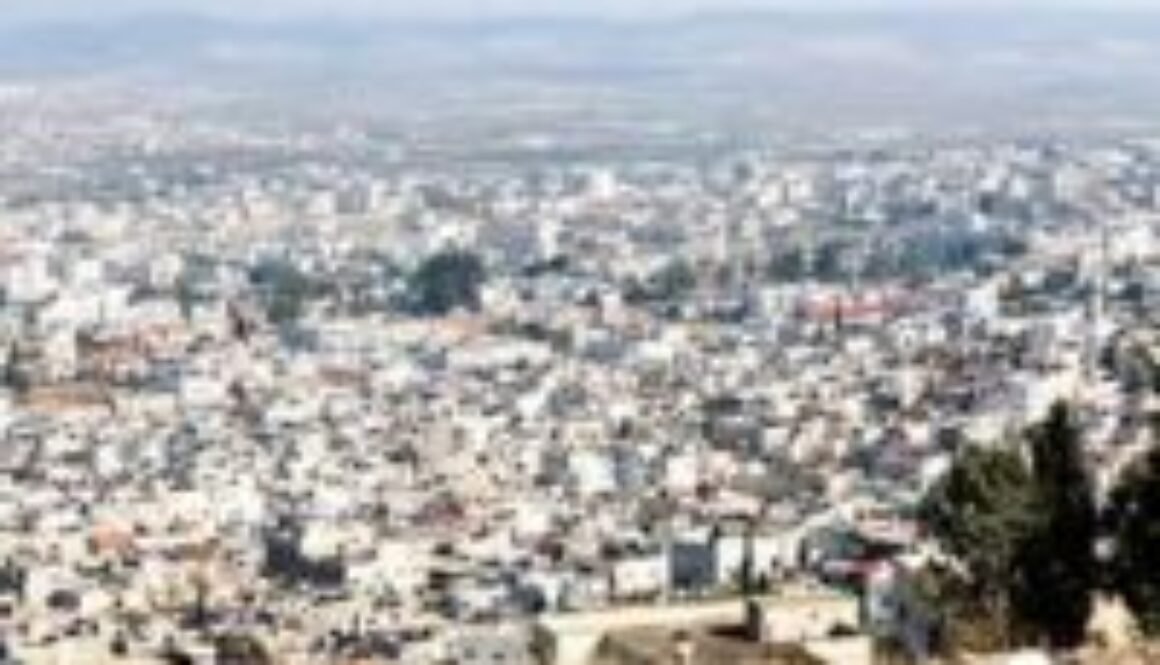 jenin2